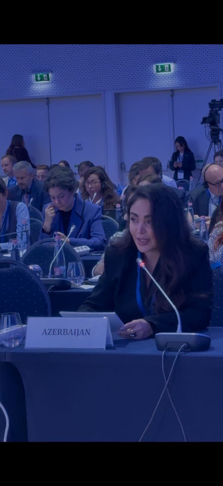 ADSEA nümayəndələri Macarıstanda keçirilən beynəlxalq tədbirdə - FOTOLAR